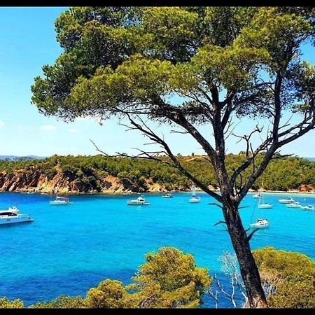 Appartement Pieds Dans L'Eau Vue Mer Bormes Les Mimosas エクステリア 写真
