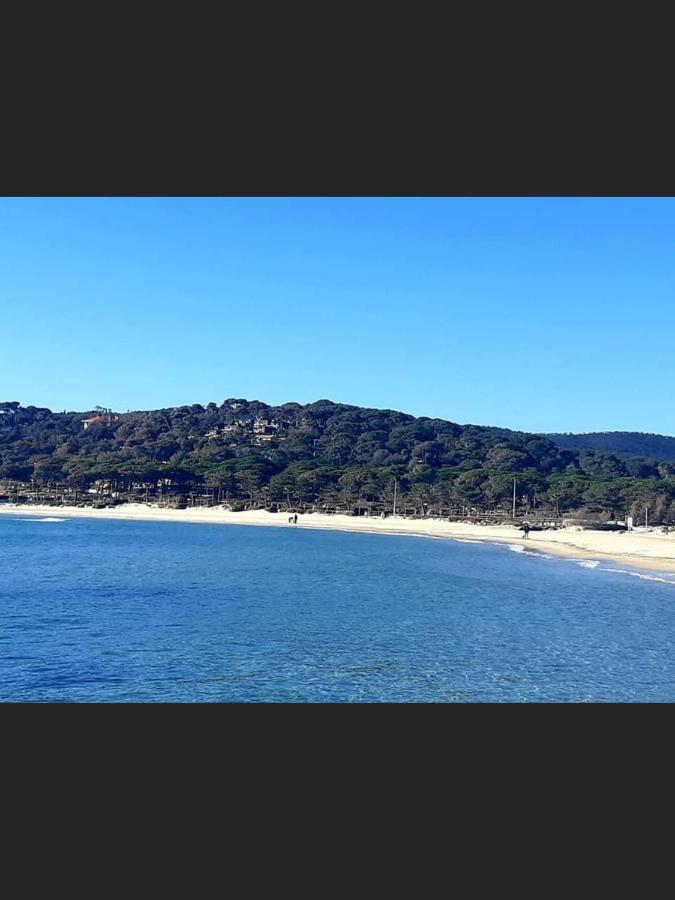 Appartement Pieds Dans L'Eau Vue Mer Bormes Les Mimosas エクステリア 写真