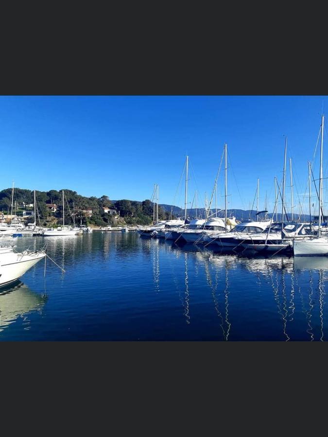 Appartement Pieds Dans L'Eau Vue Mer Bormes Les Mimosas エクステリア 写真