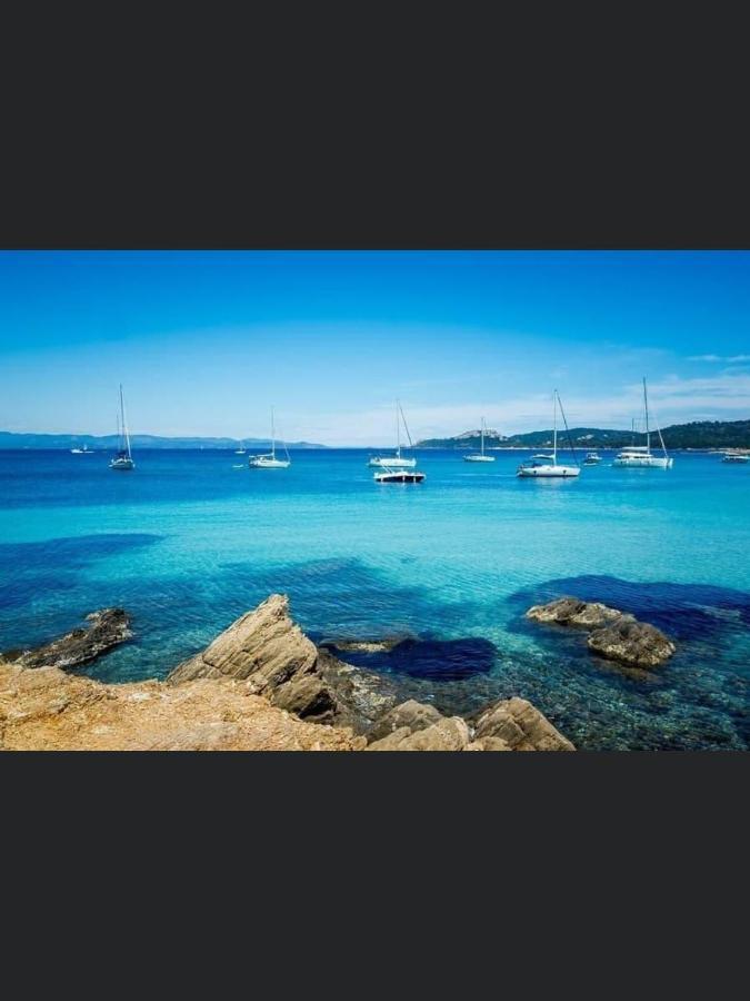 Appartement Pieds Dans L'Eau Vue Mer Bormes Les Mimosas エクステリア 写真