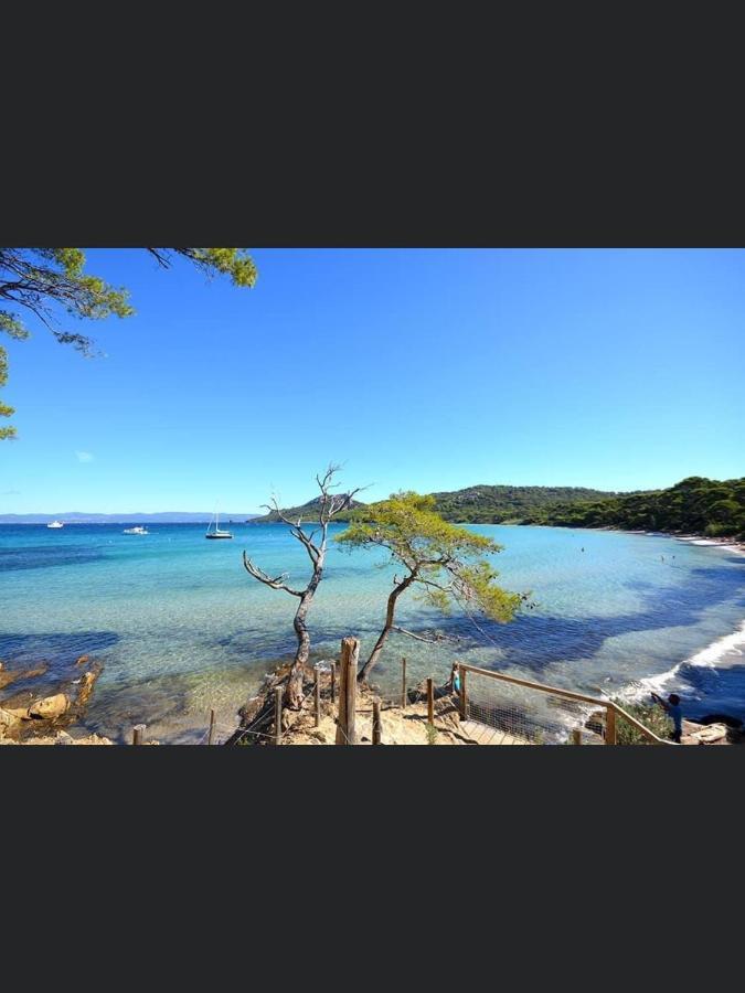 Appartement Pieds Dans L'Eau Vue Mer Bormes Les Mimosas エクステリア 写真