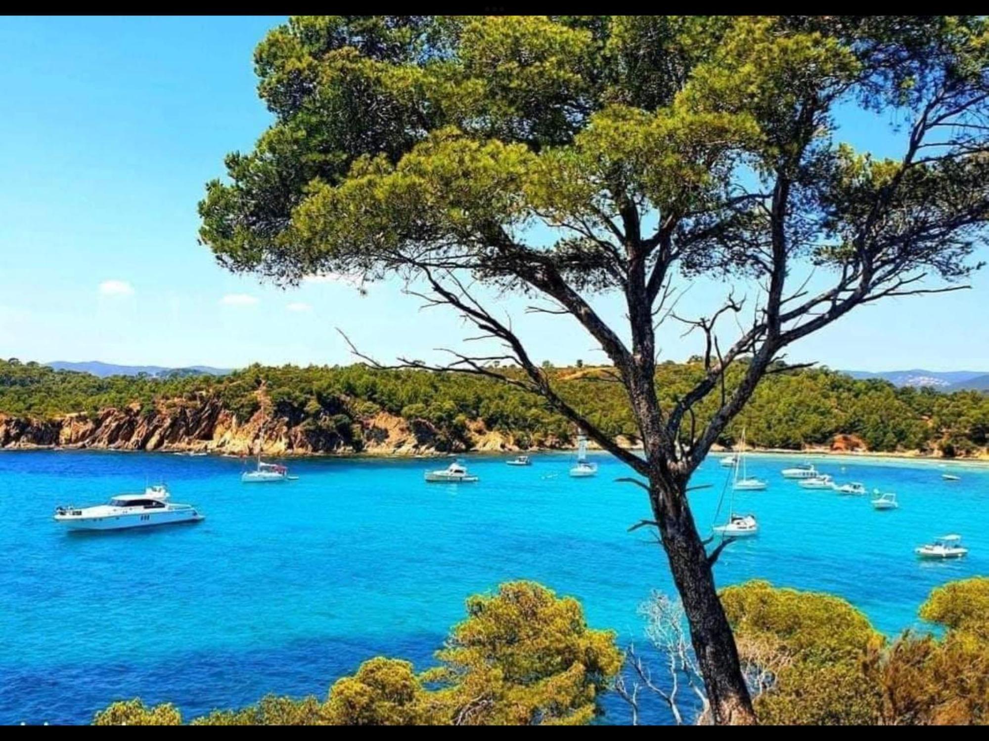 Appartement Pieds Dans L'Eau Vue Mer Bormes Les Mimosas エクステリア 写真