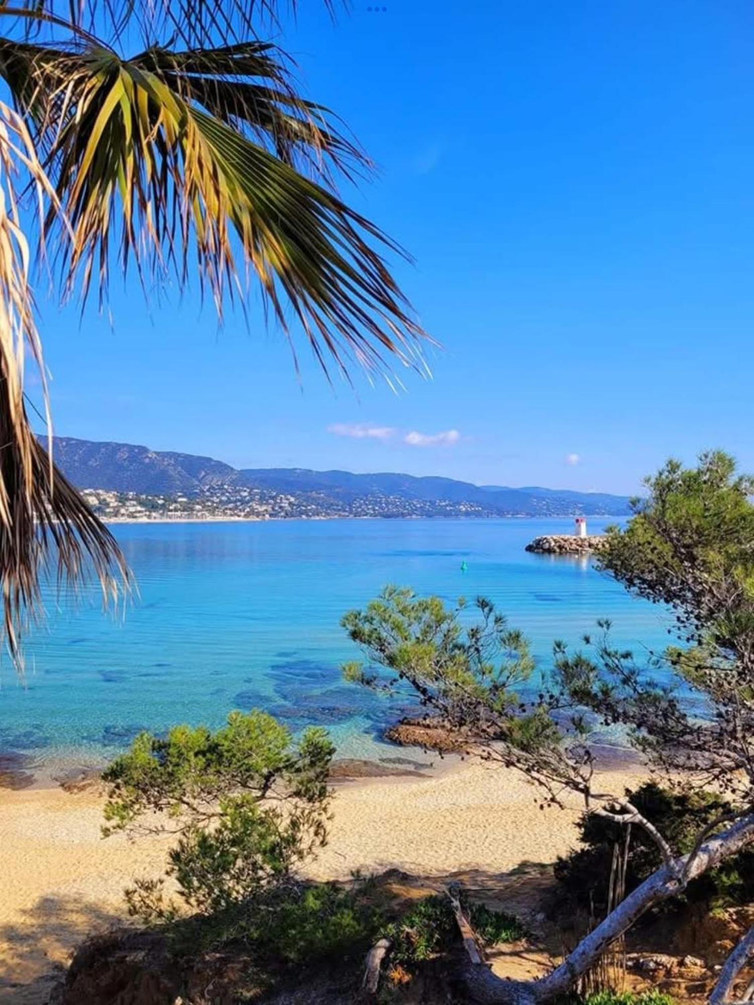 Appartement Pieds Dans L'Eau Vue Mer Bormes Les Mimosas エクステリア 写真